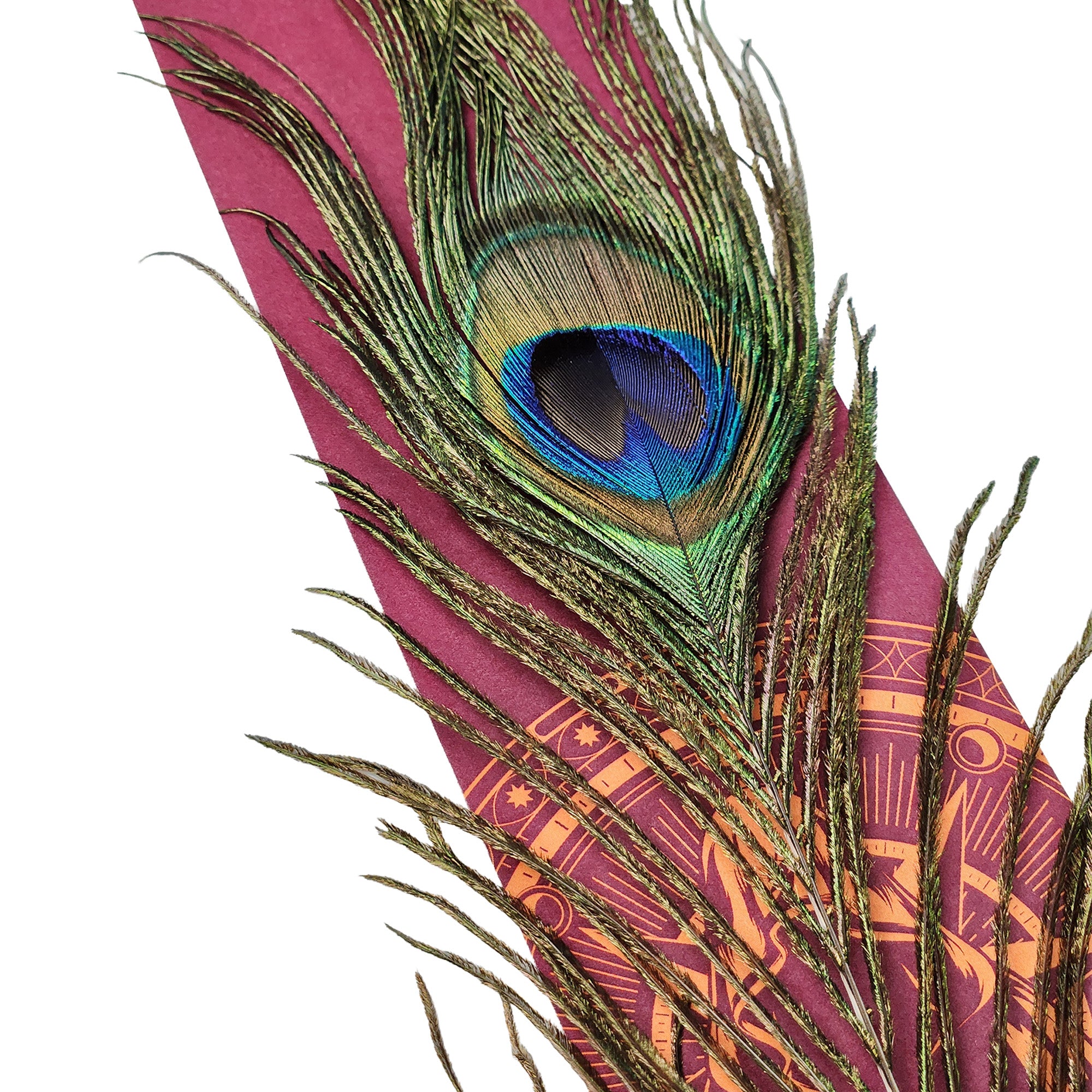 Traitors Peacock Pen