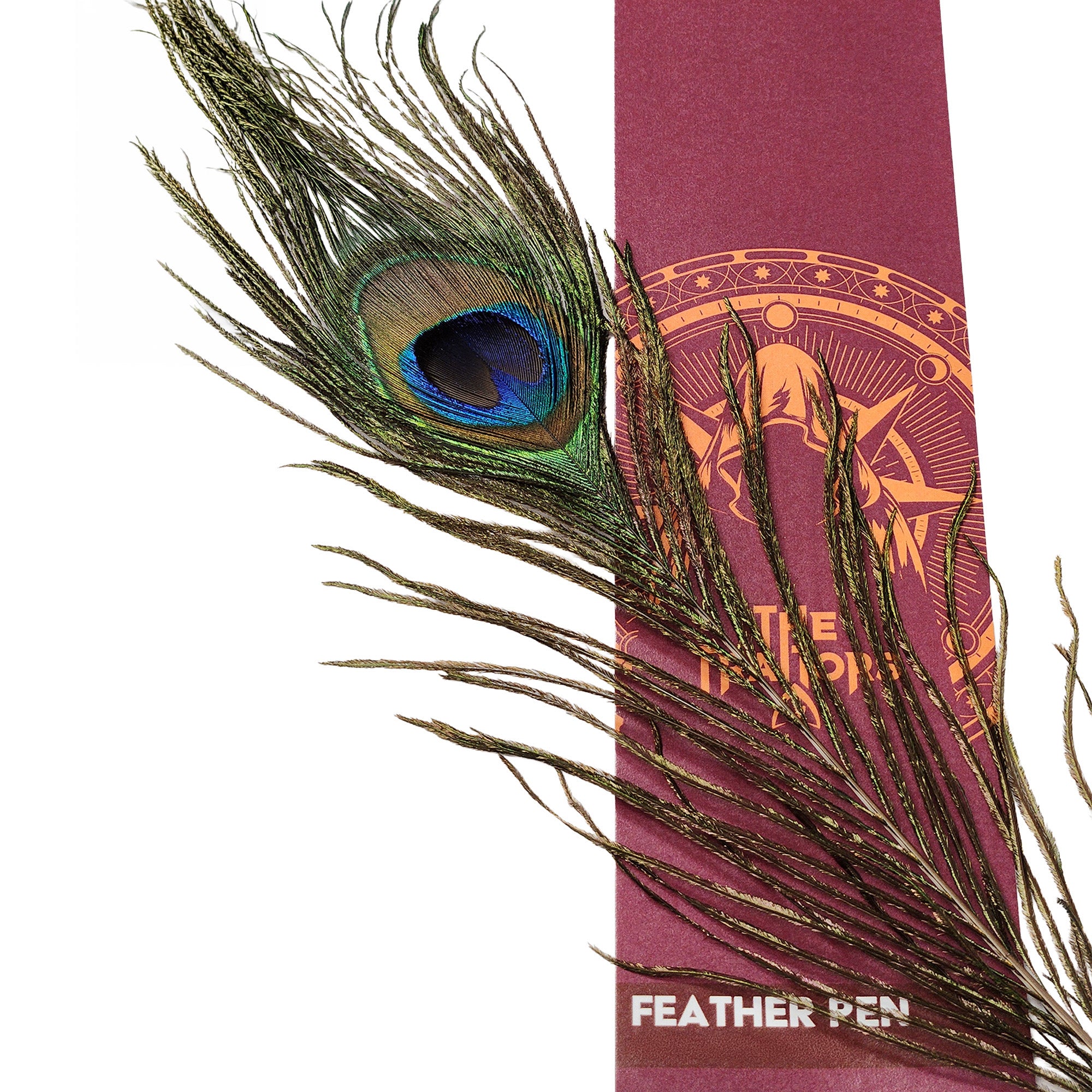 Traitors Peacock Pen